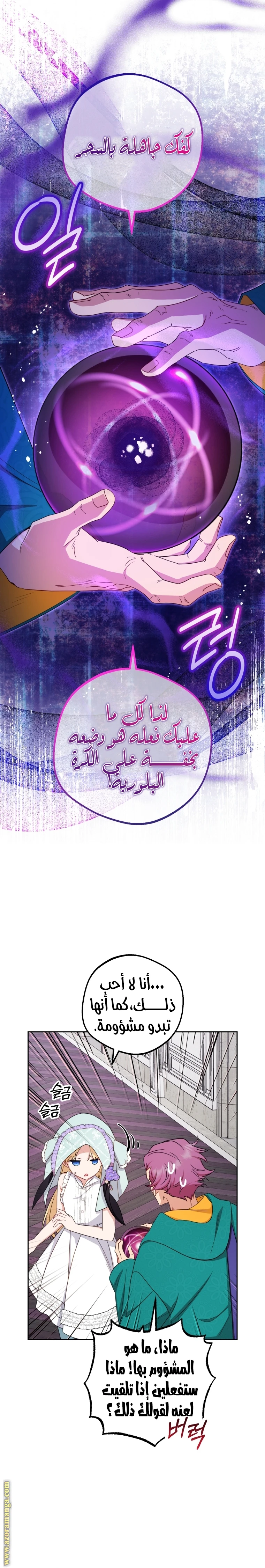 الصفحة 17