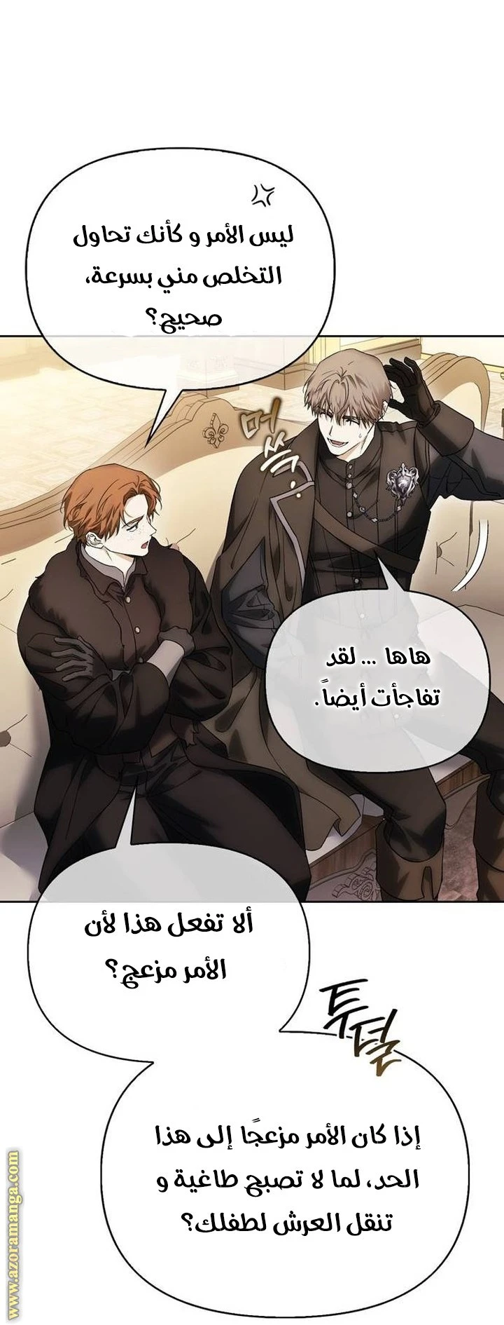 الصفحة 17