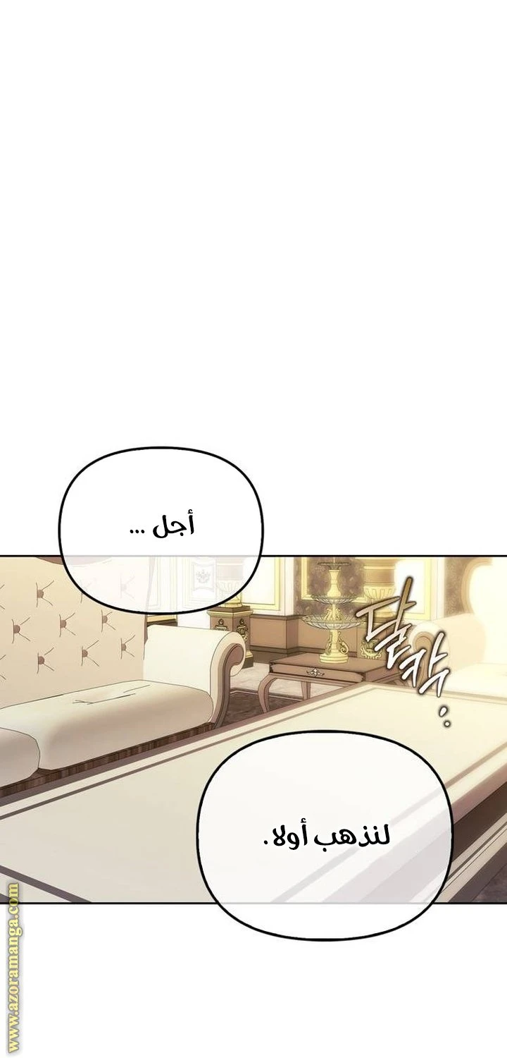الصفحة 25