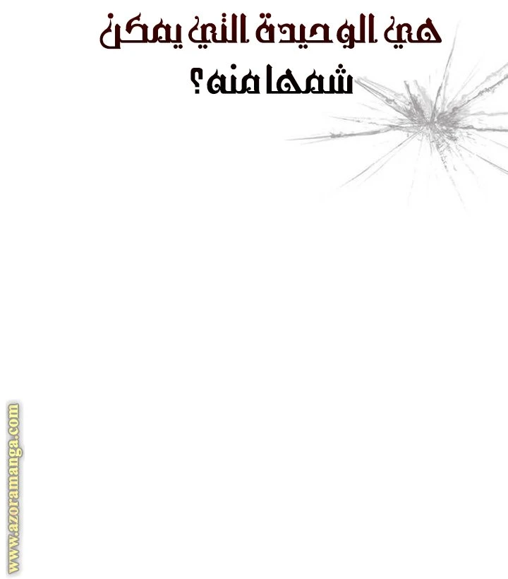 الصفحة 42