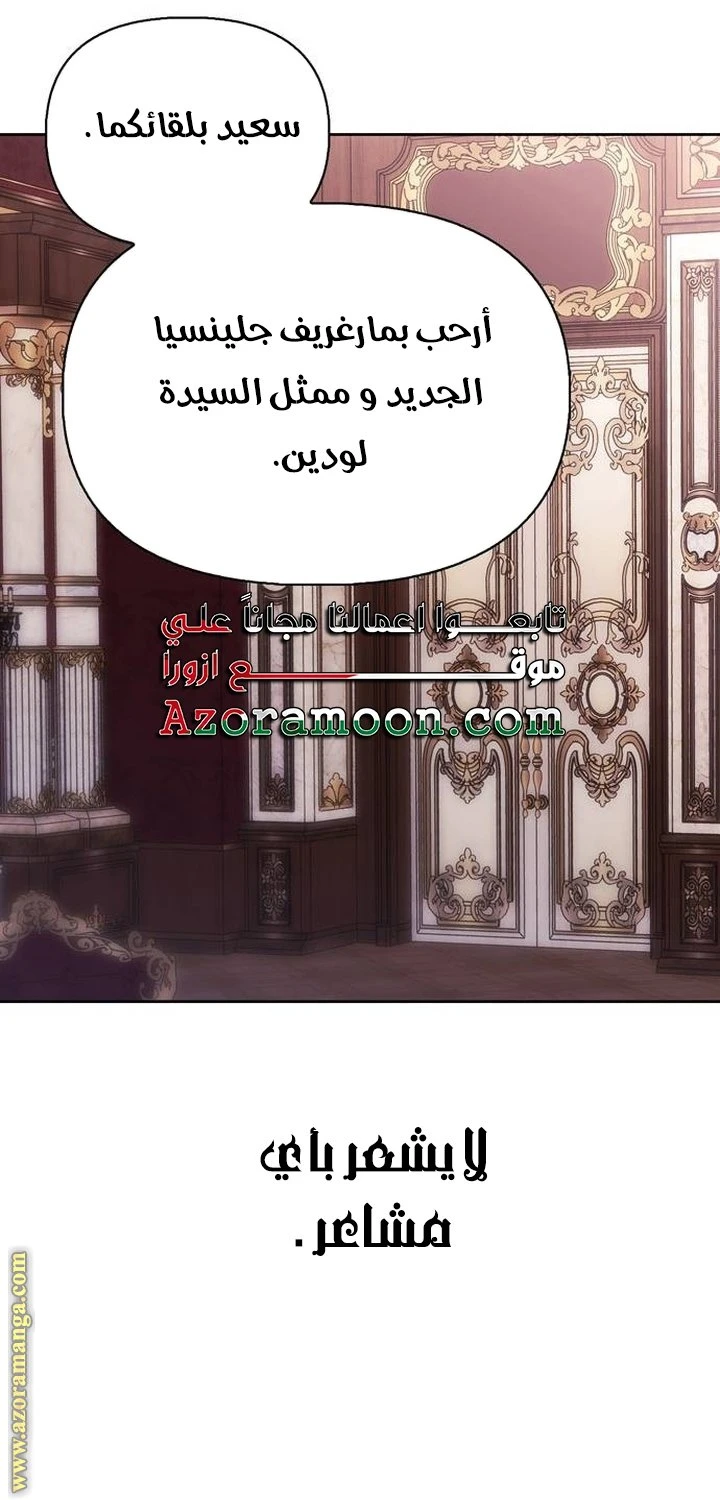 الصفحة 43