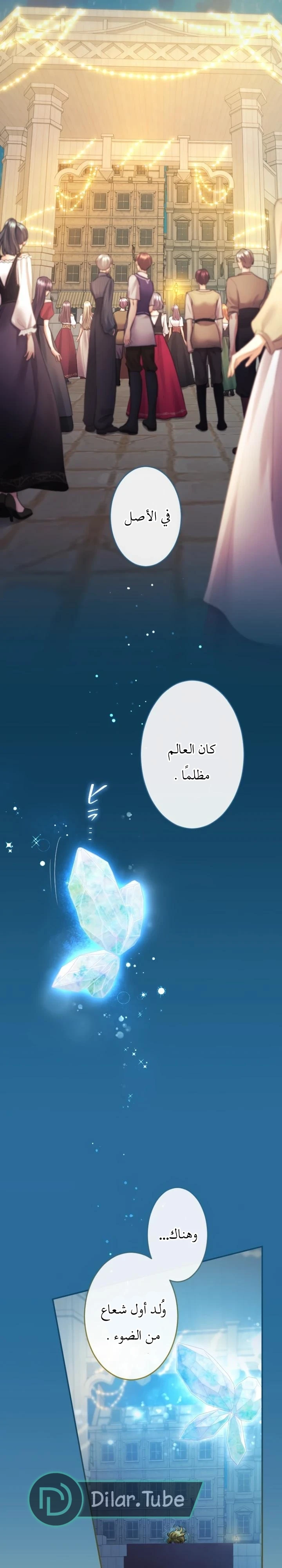 الصفحة 12