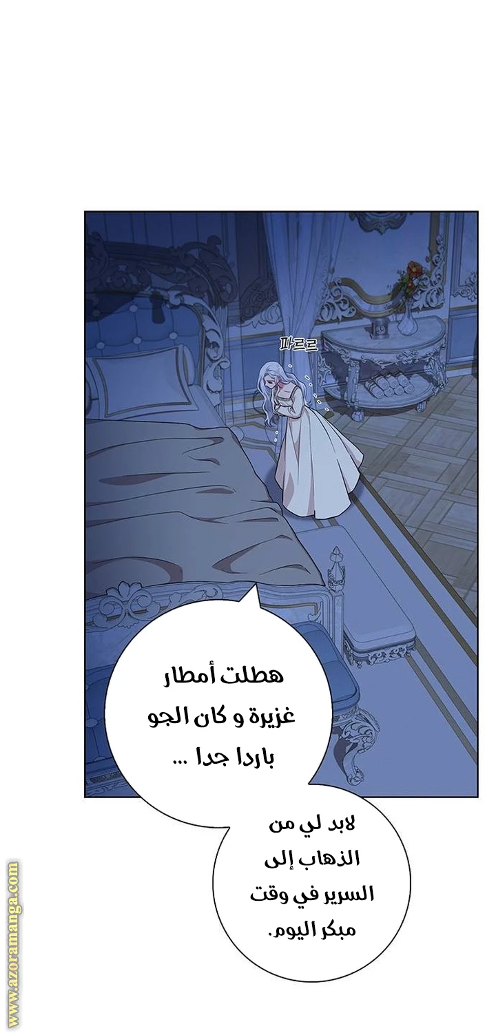 الصفحة 23