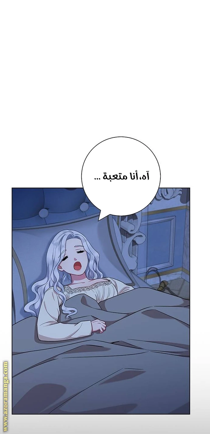 الصفحة 24
