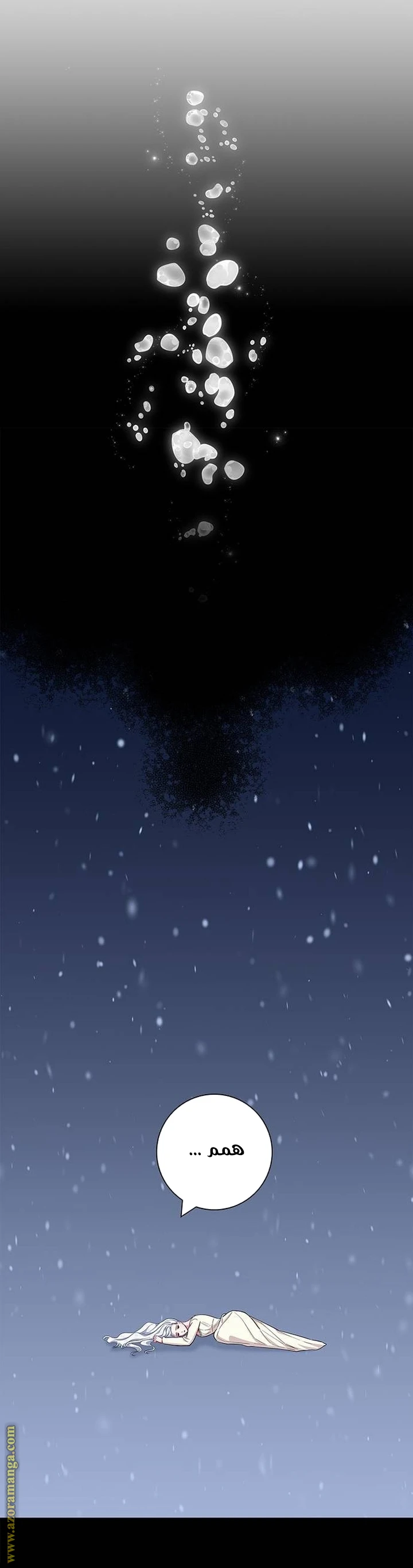 الصفحة 25
