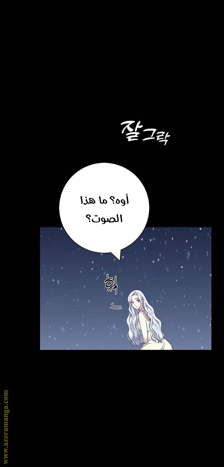 الصفحة 28