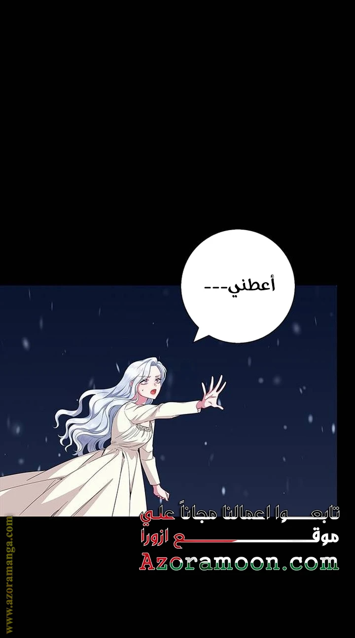 الصفحة 30