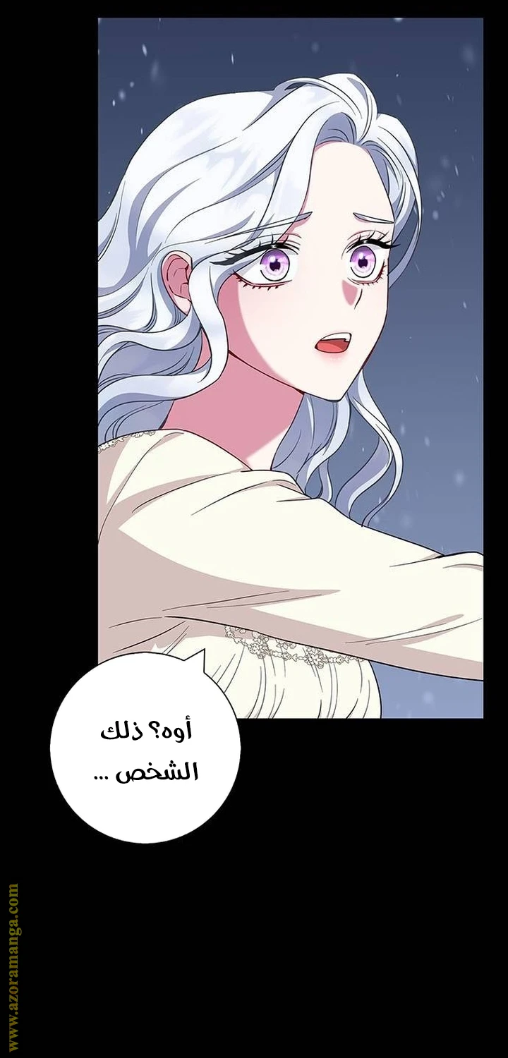 الصفحة 31