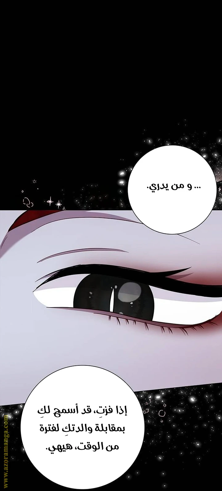 الصفحة 47