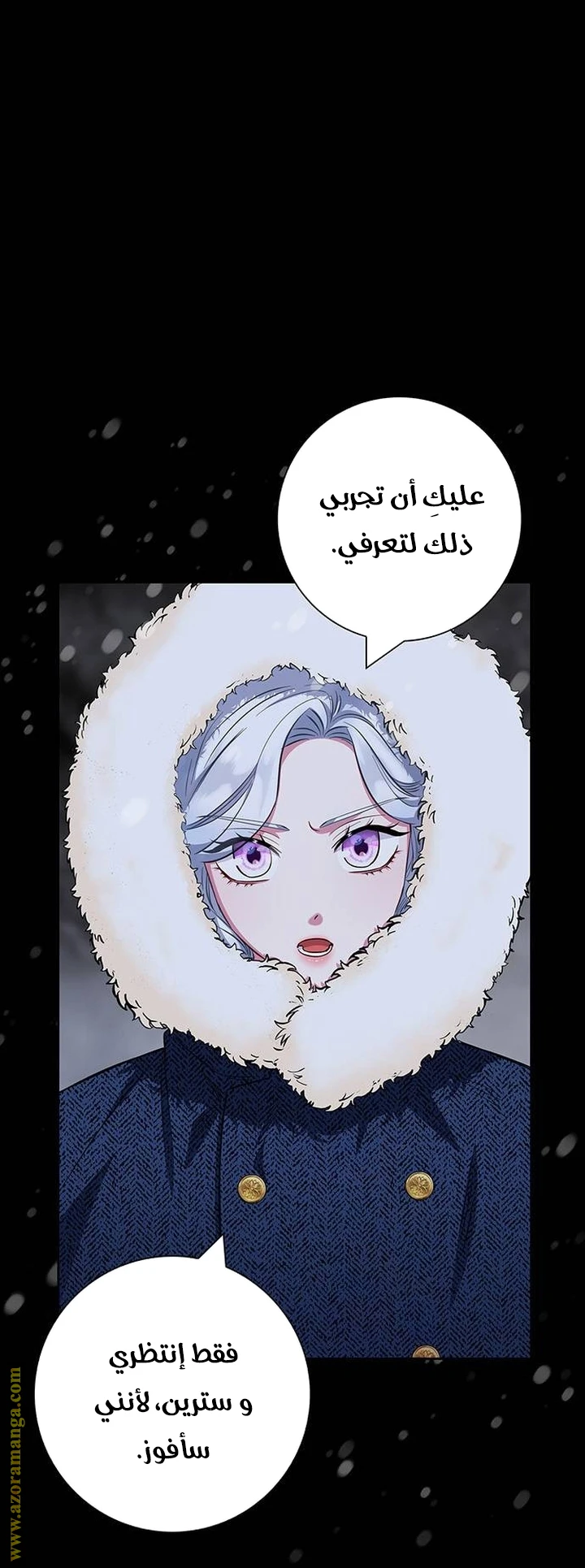 الصفحة 60
