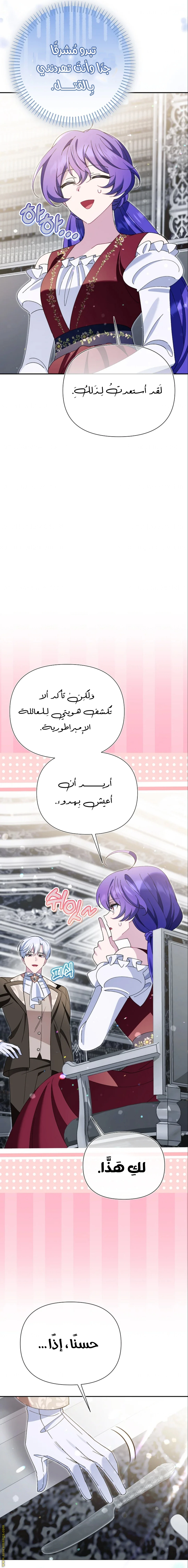 الصفحة 19