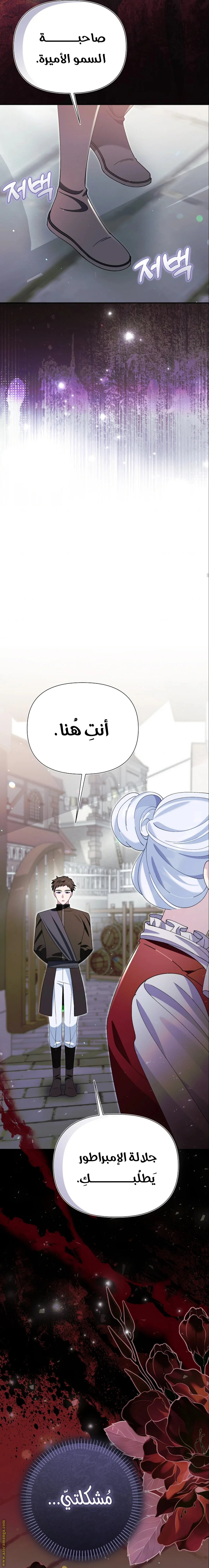 الصفحة 27