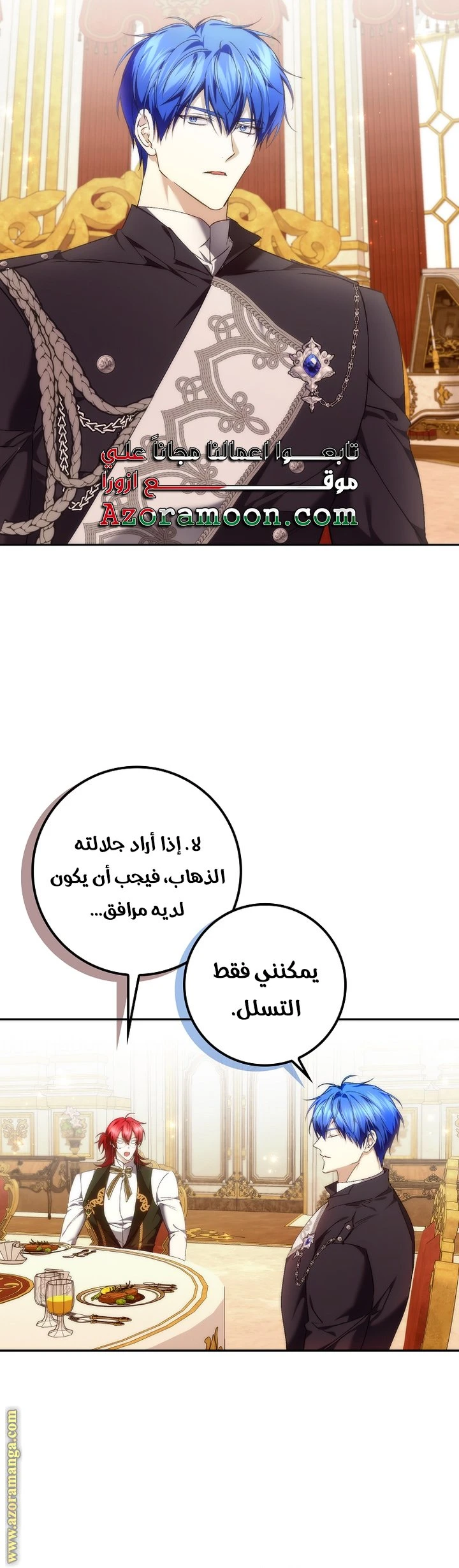 الصفحة 13