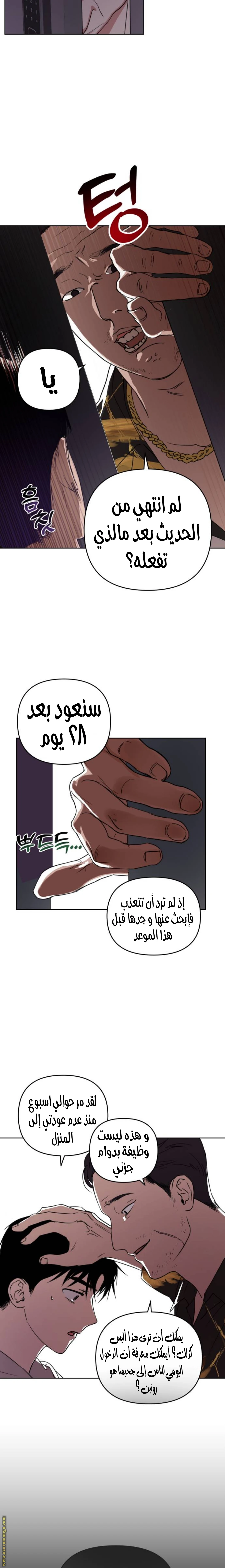 الصفحة 7