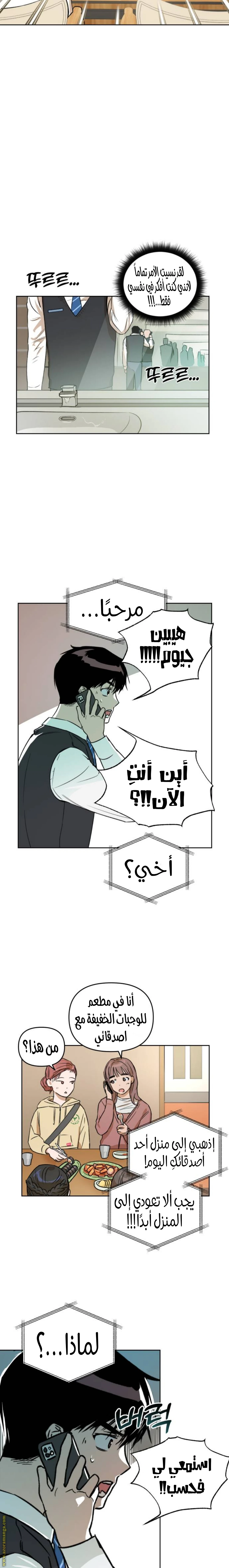 الصفحة 17