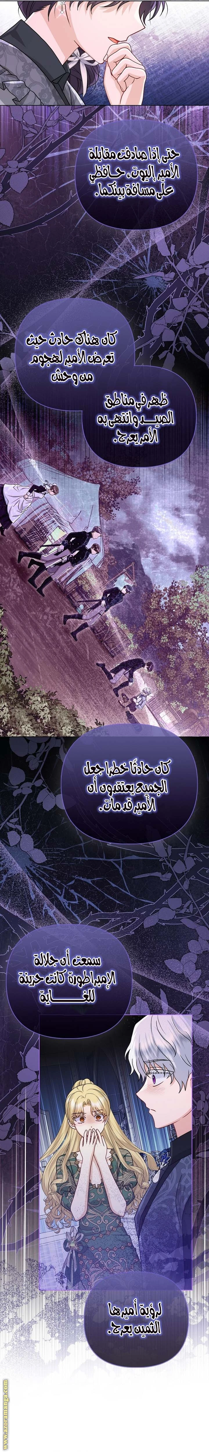 الصفحة 13