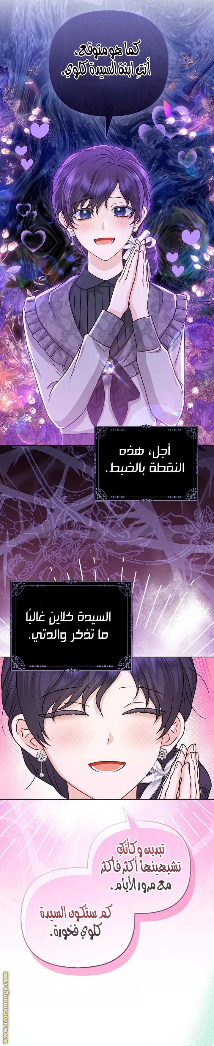 الصفحة 17
