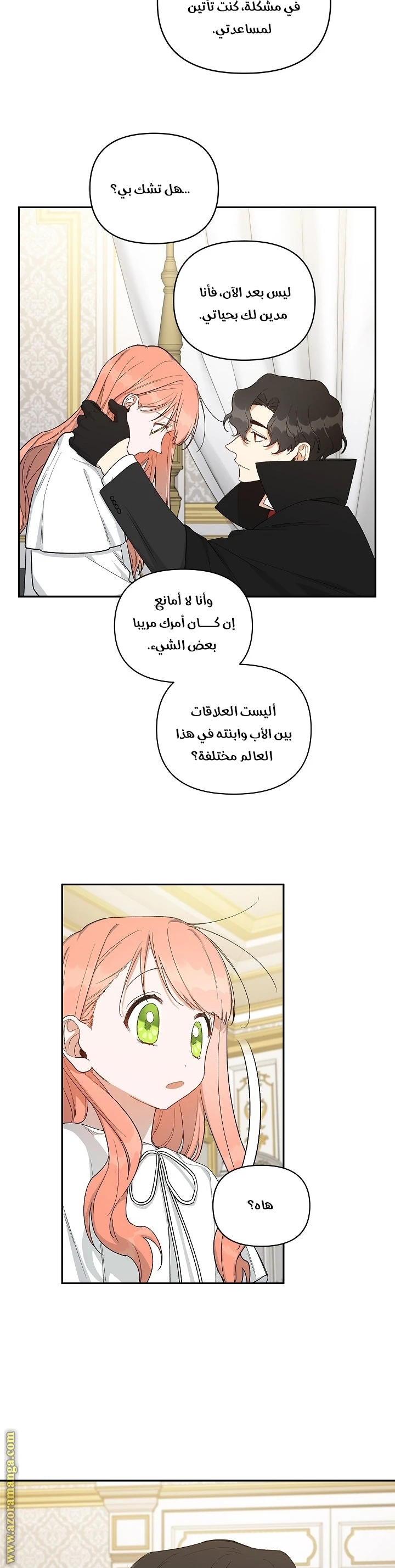 الصفحة 13