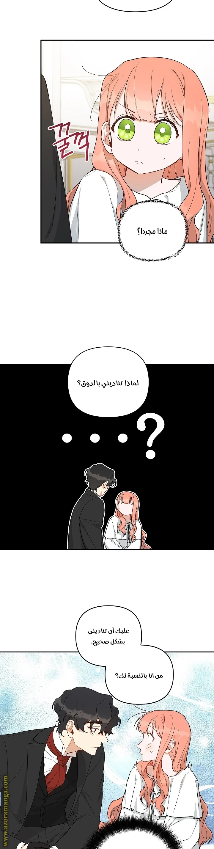 الصفحة 17
