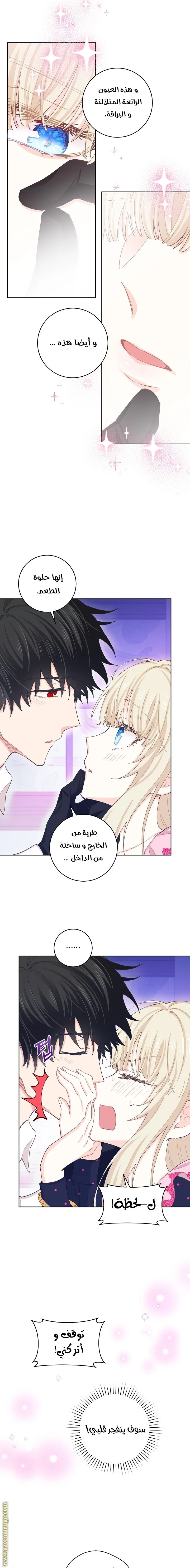 الصفحة 11