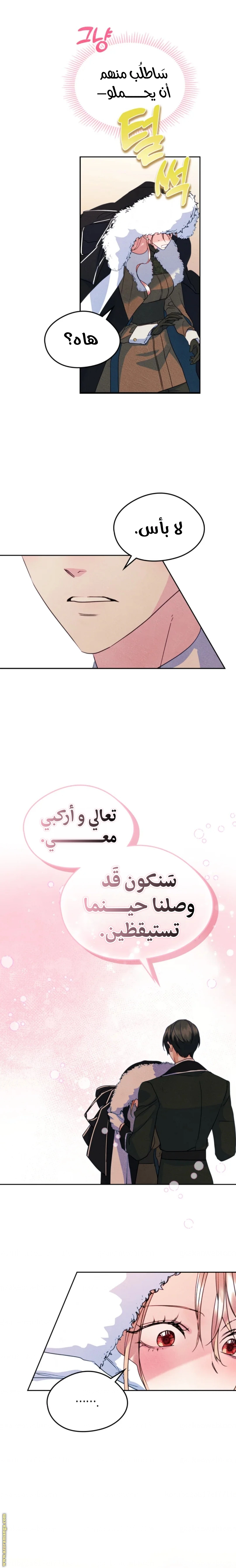 الصفحة 13