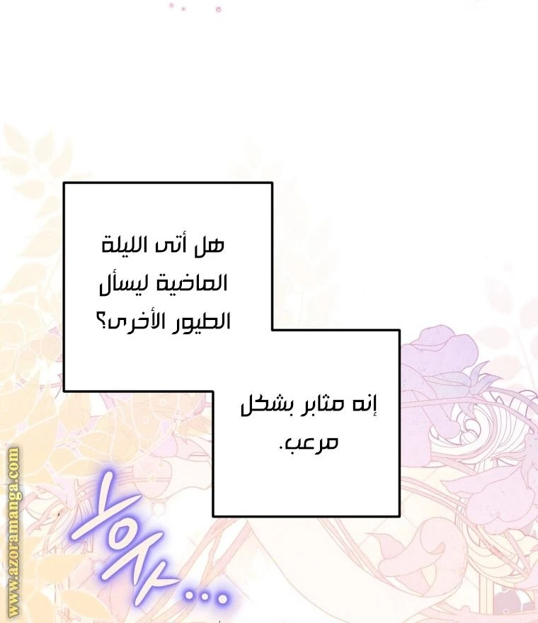 الصفحة 23