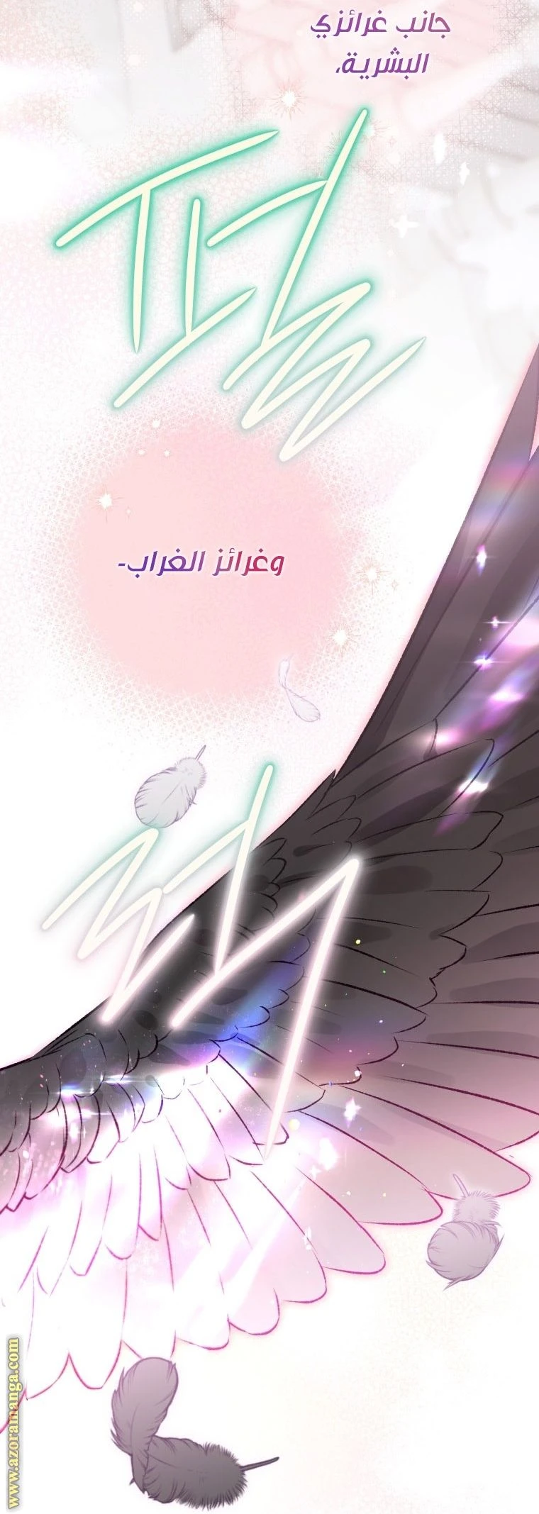 الصفحة 36