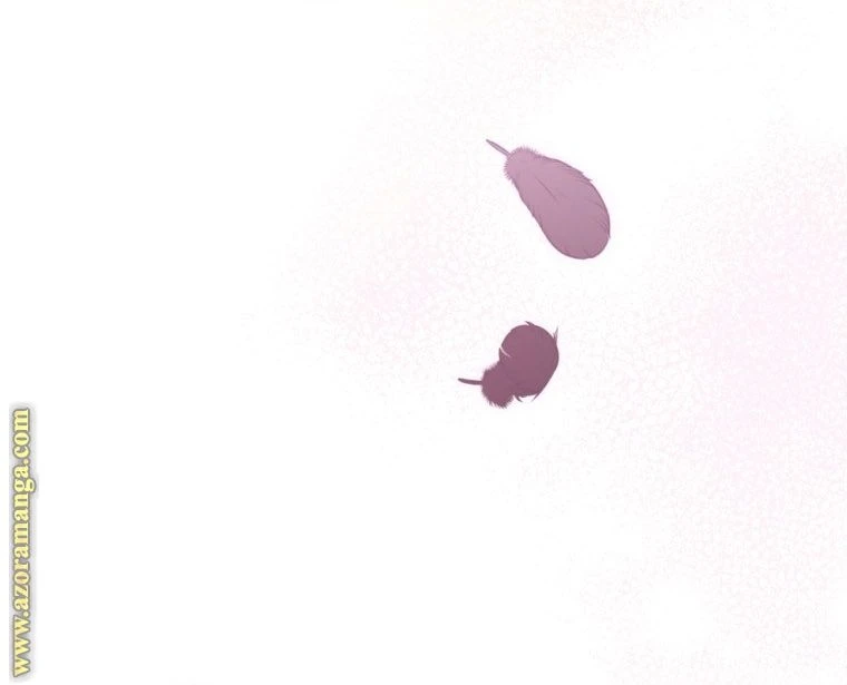 الصفحة 37