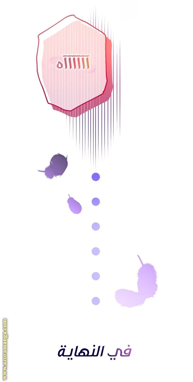 الصفحة 42