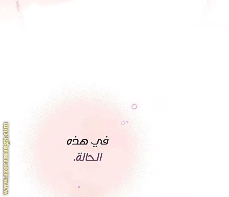 الصفحة 46