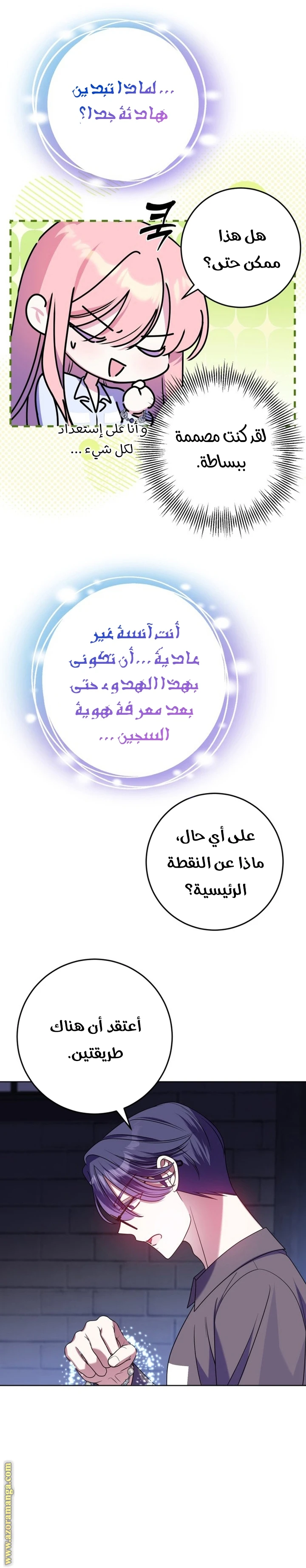 الصفحة 13