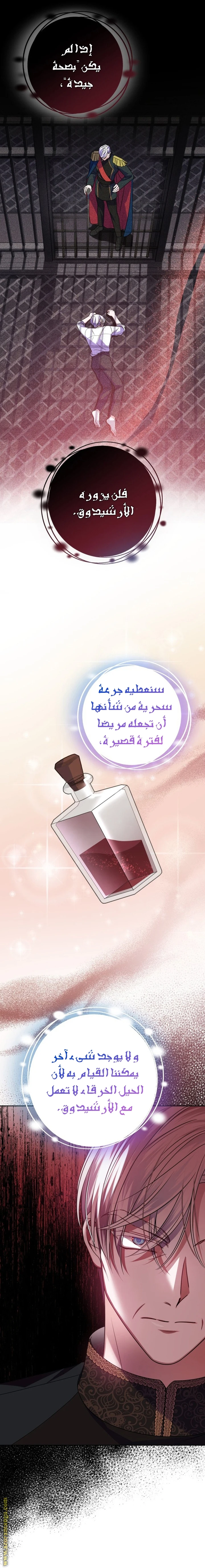 الصفحة 16
