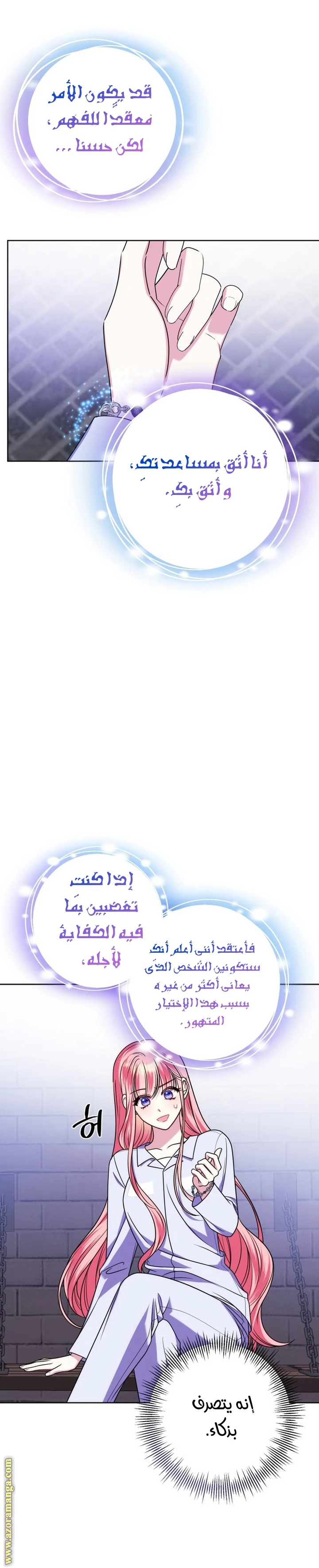 الصفحة 27