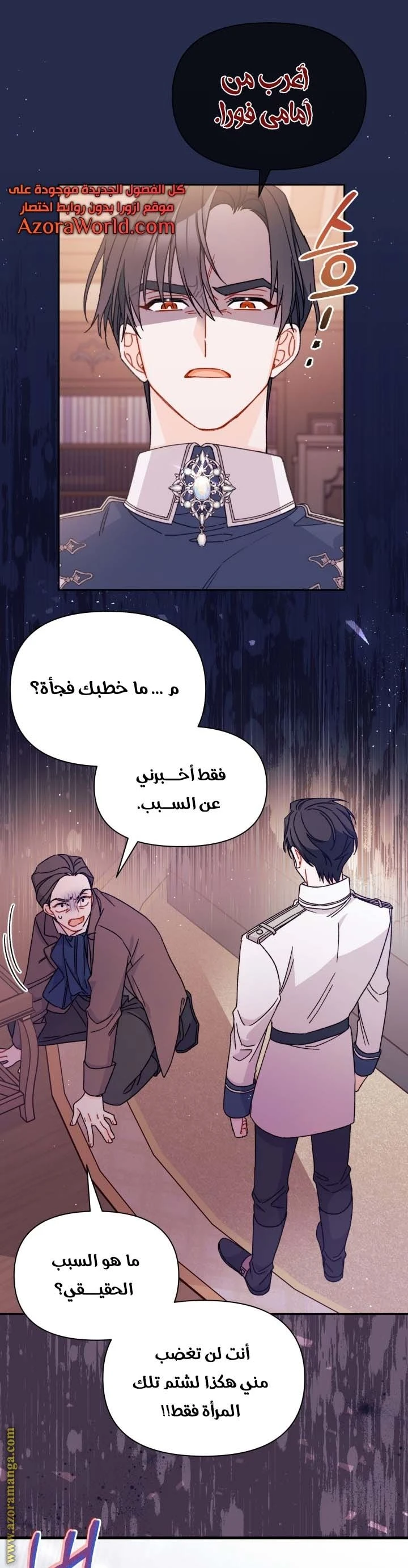 الصفحة 26