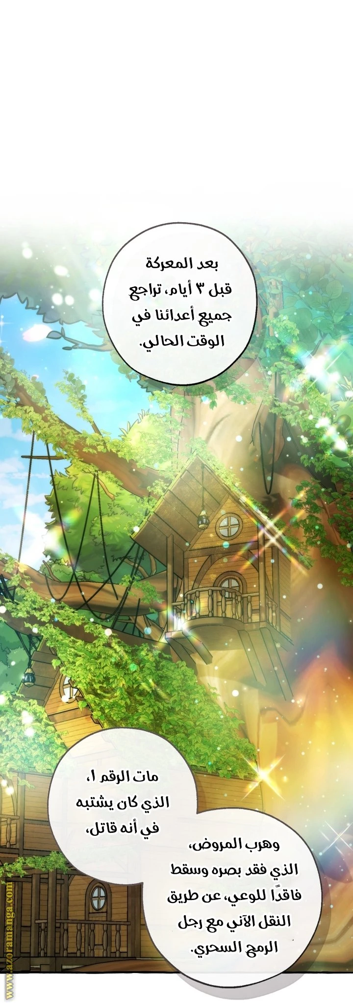 الصفحة 19