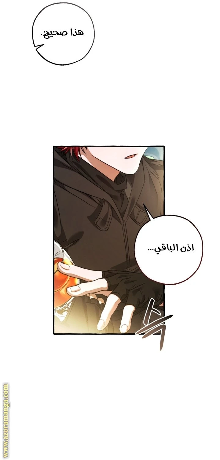 الصفحة 21