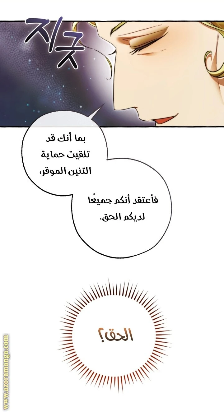 الصفحة 31