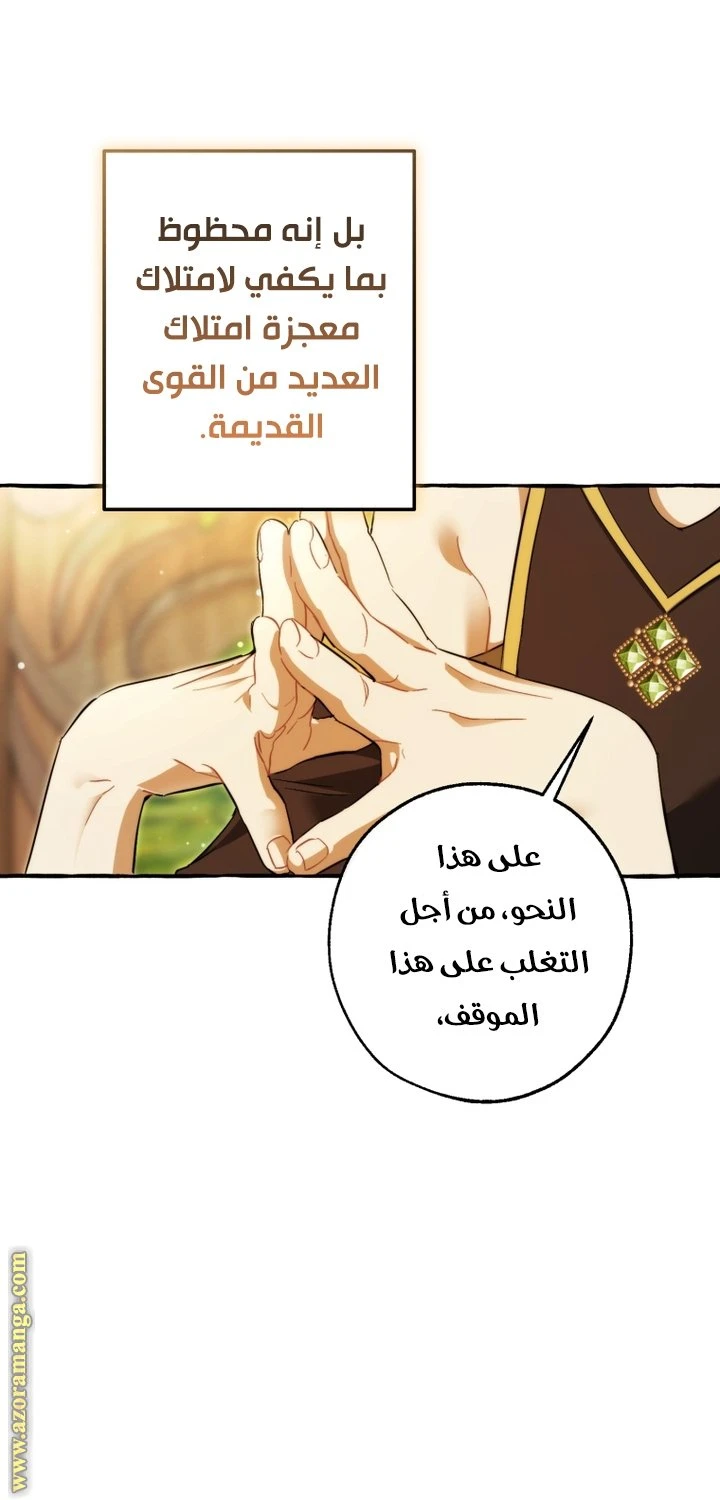 الصفحة 41
