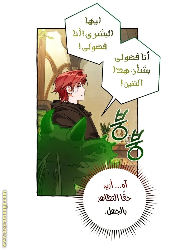 الصفحة 44