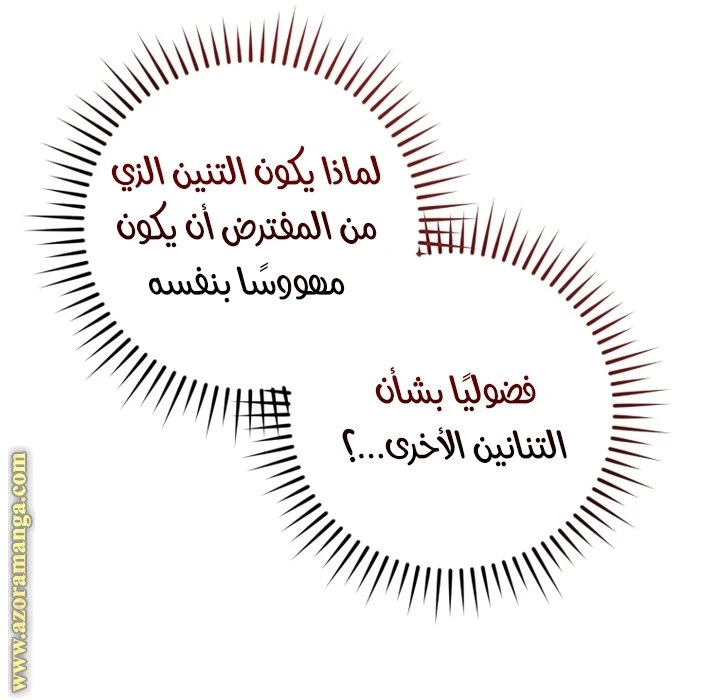 الصفحة 45