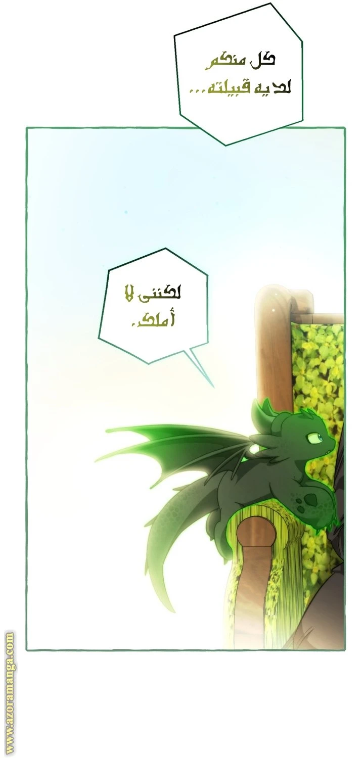 الصفحة 51