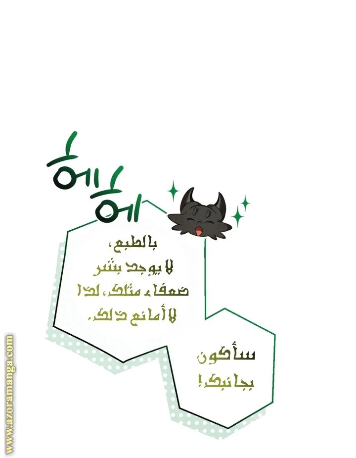 الصفحة 52