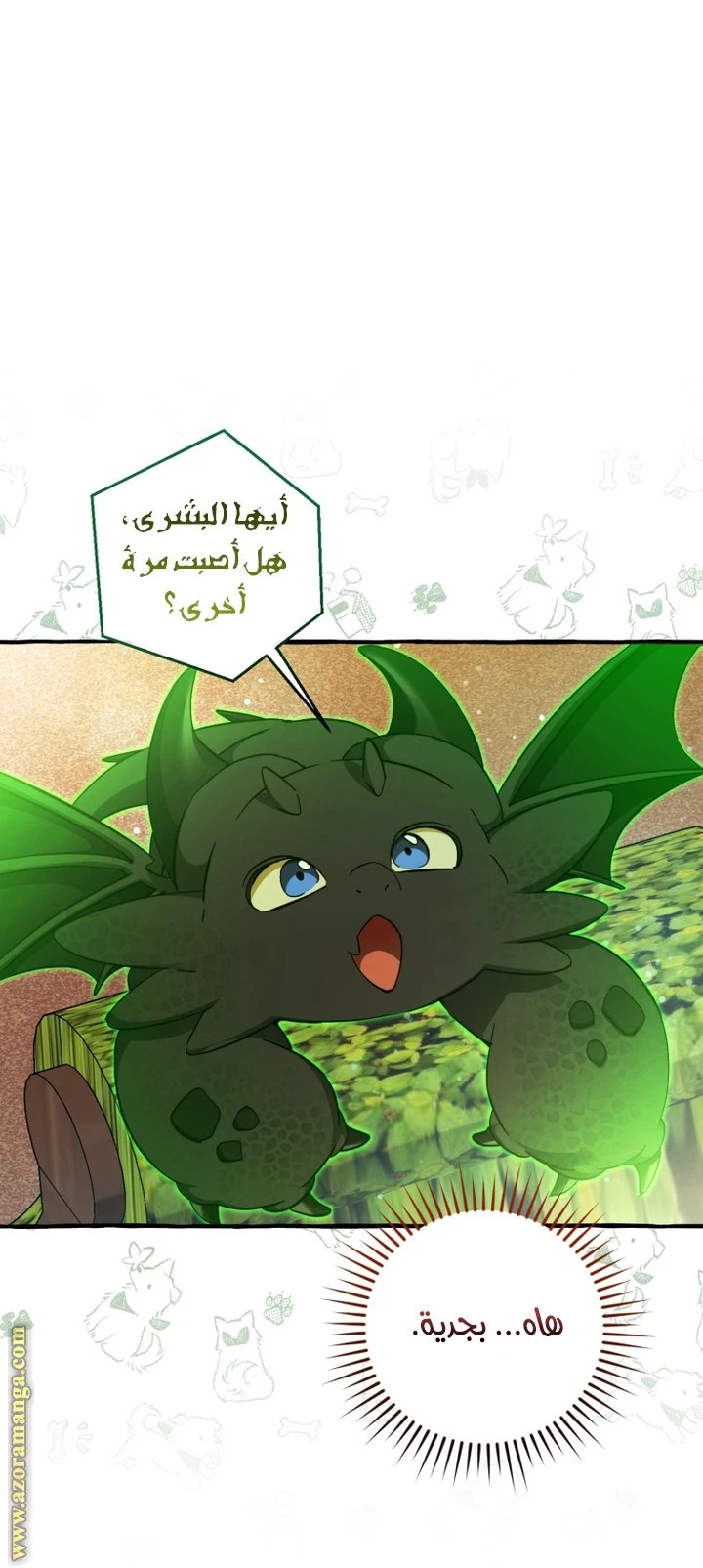 الصفحة 55