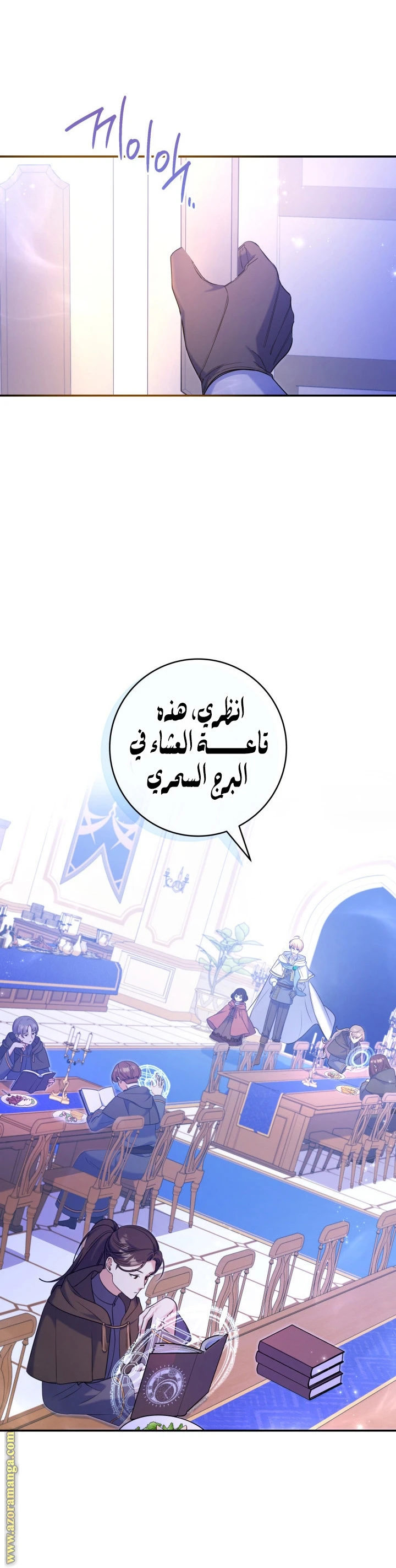 الصفحة 17