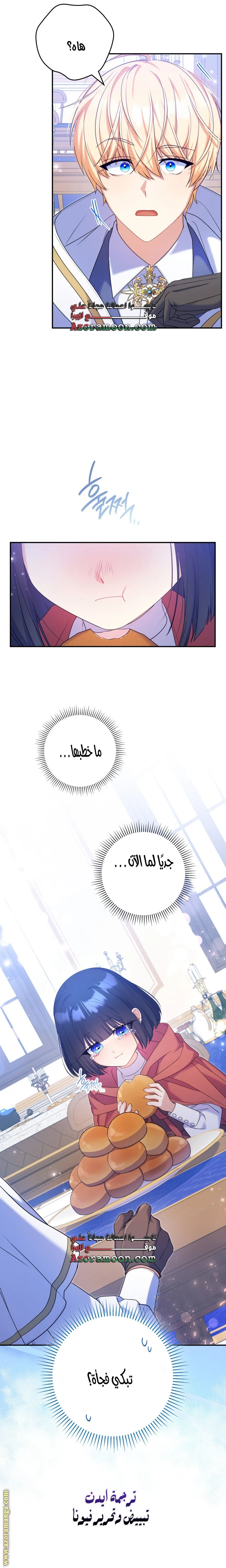 الصفحة 25