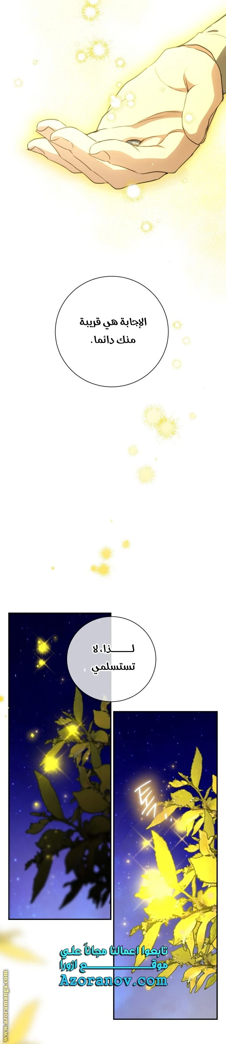 الصفحة 25