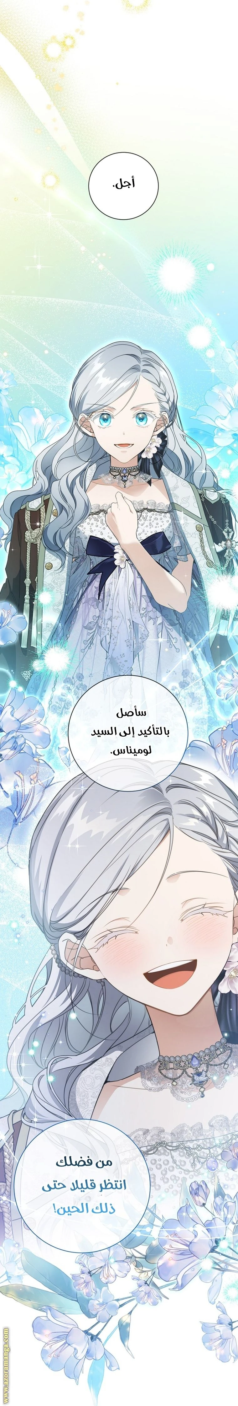 الصفحة 27