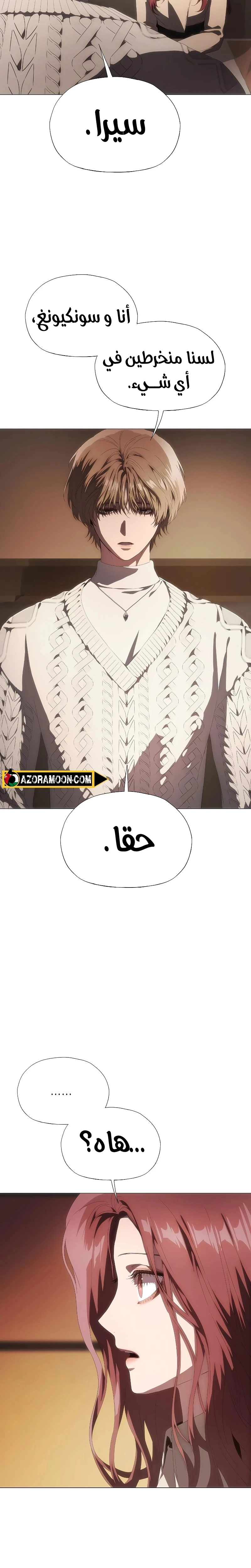 الصفحة 26
