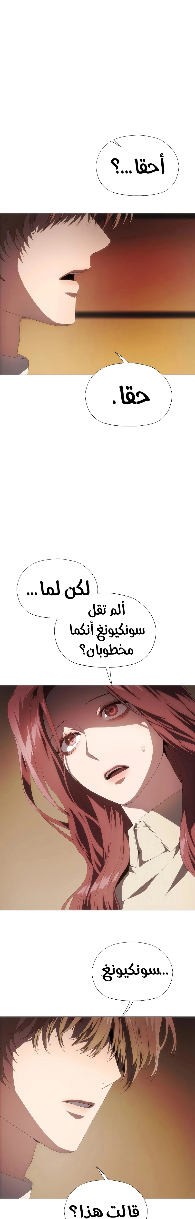 الصفحة 27