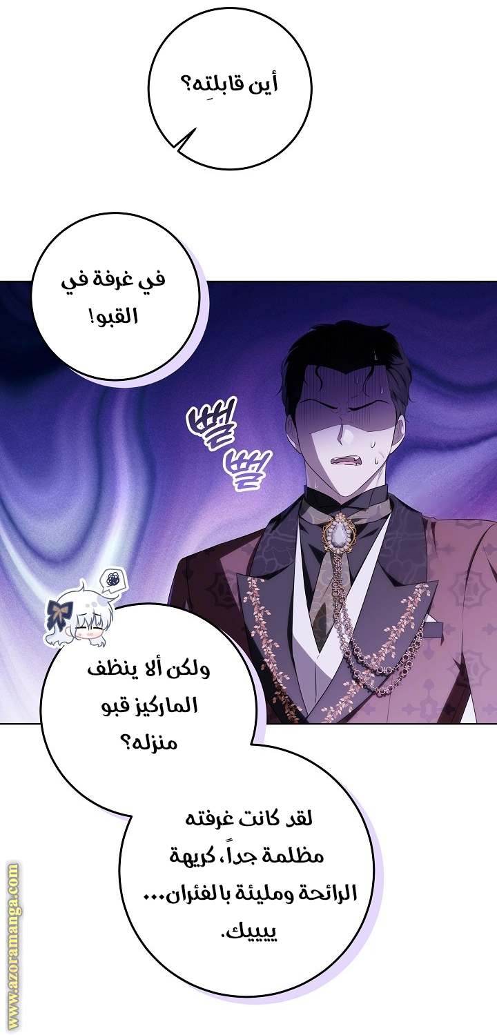 الصفحة 24